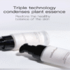 Exquisite Essence Muscle Active Multi-Effect Lotion Essence Serum